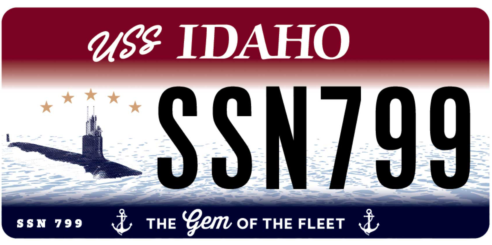 License Plate Example