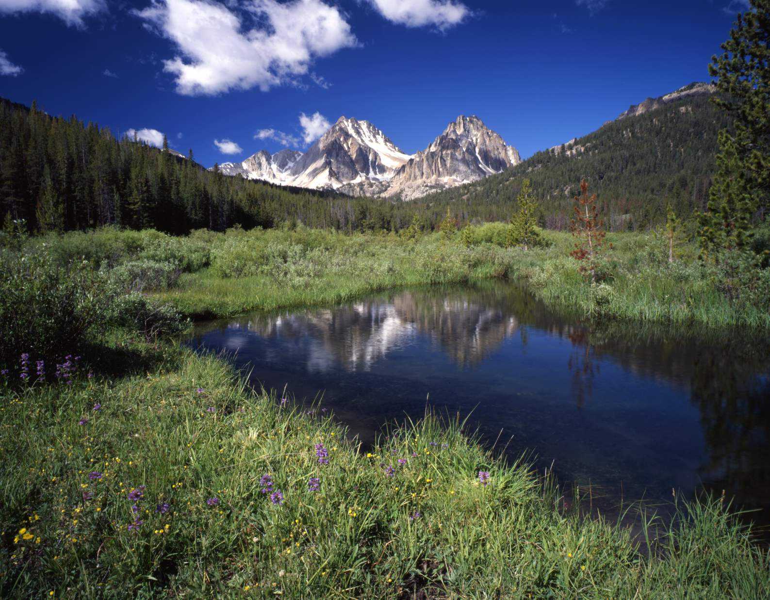 Idaho Public Television